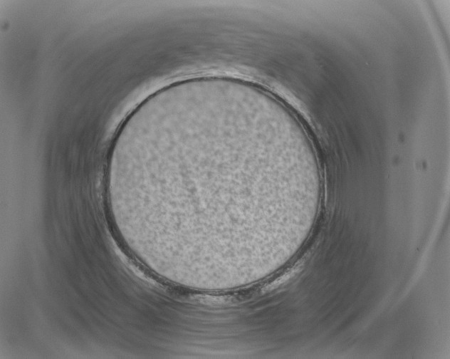 X0000080731500200701051046