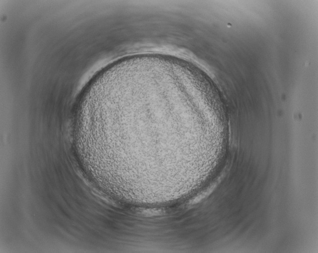 X0000080731501200701051046