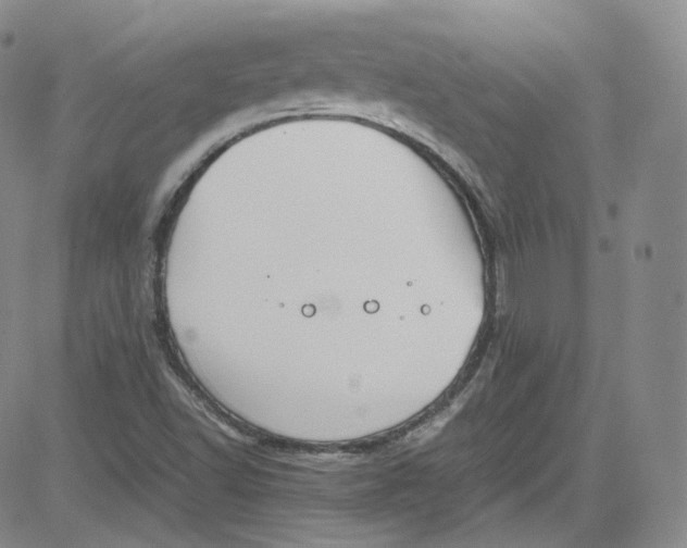 X0000080731502200701051046