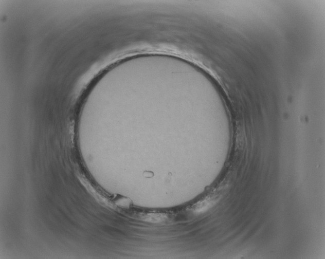 X0000080731503200701051046