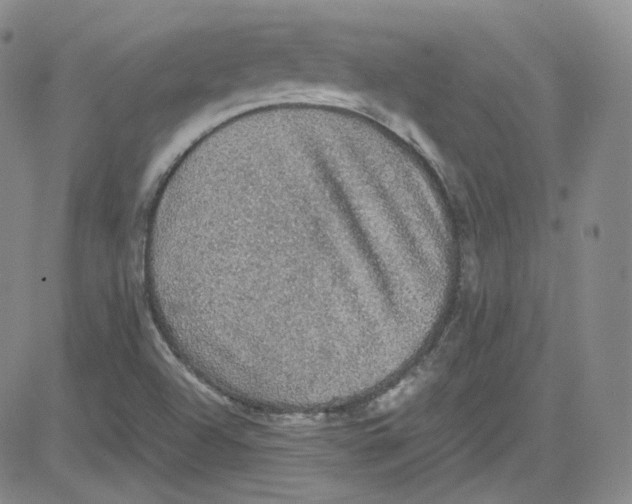 X0000080731504200701051046