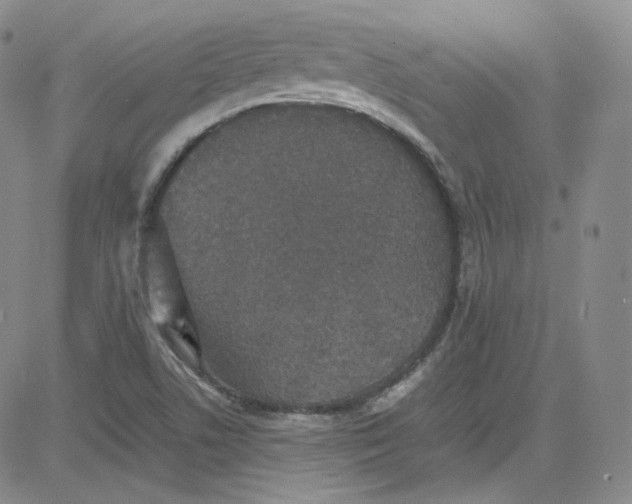 X0000080731506200701051046