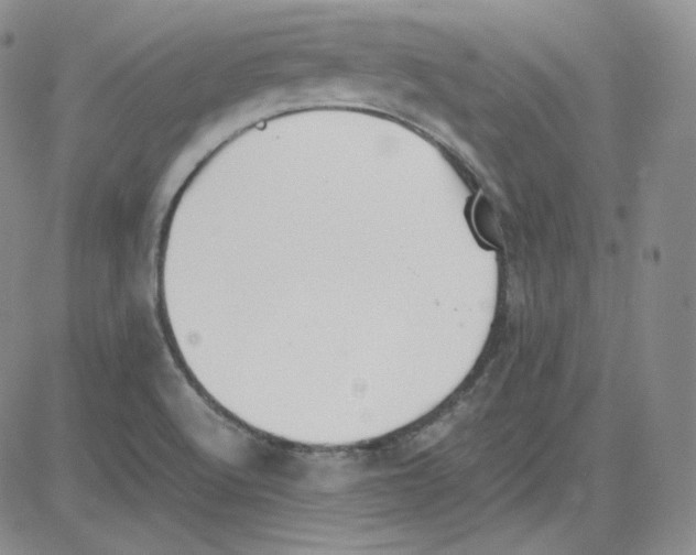 X0000080731512200701051046