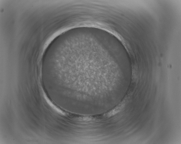 X0000080731515200701051046