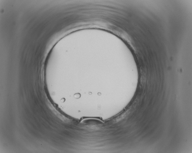 X0000080731516200701051046