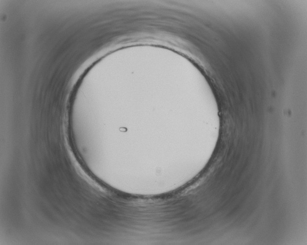 X0000080731518200701051046