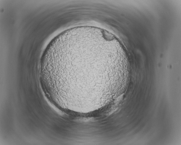 X0000080731519200701051046