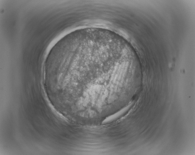 X0000080731520200701051046