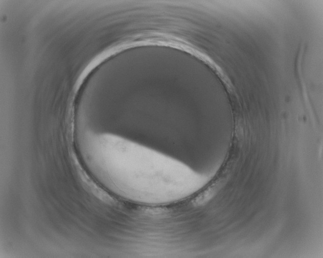 X0000080731522200701051046