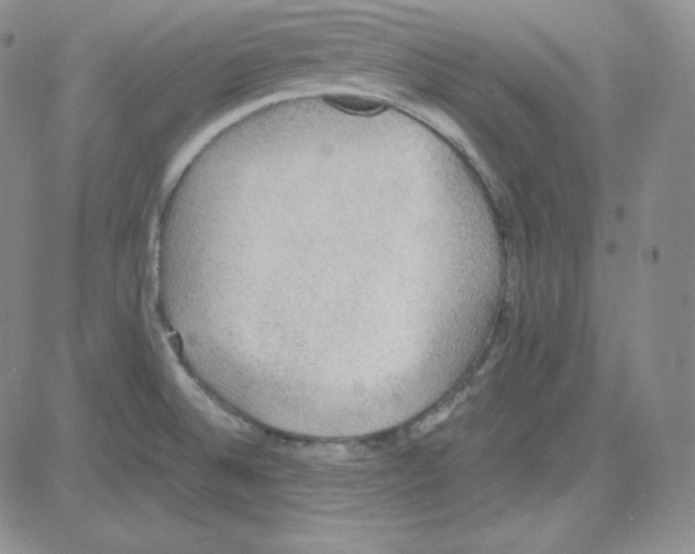 X0000080731524200701051046