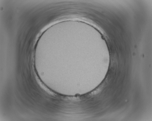 X0000080731526200701051046