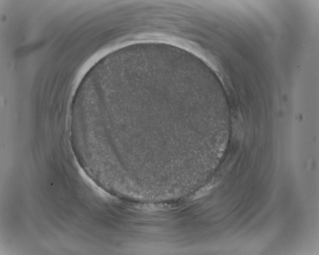 X0000080731527200701051046