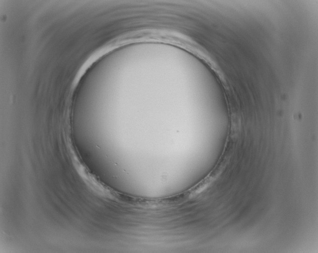 X0000080731530200701051046