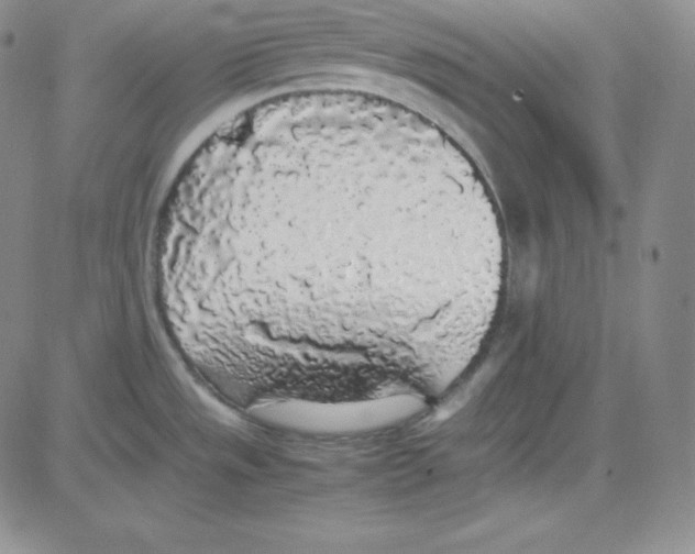 X0000080731533200701051046