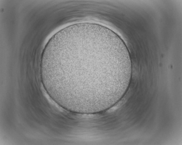 X0000080731534200701051046