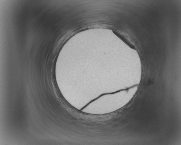 X0000080730001200701121923