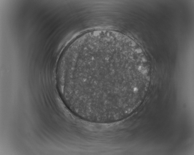 X0000080730002200701121923