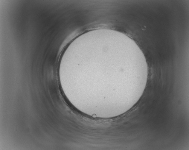 X0000080730004200701121923