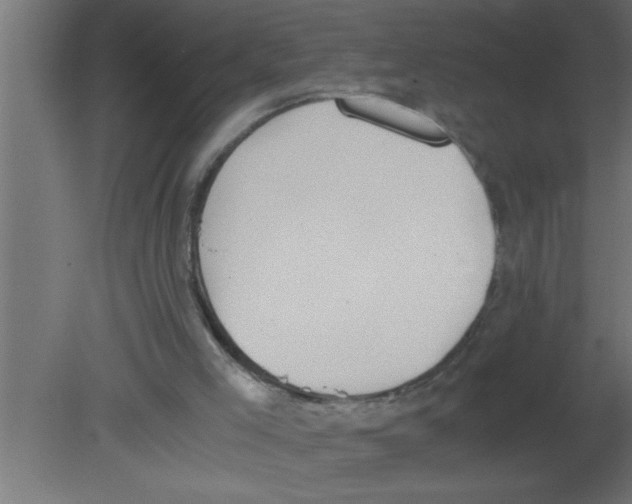 X0000080730005200701121923