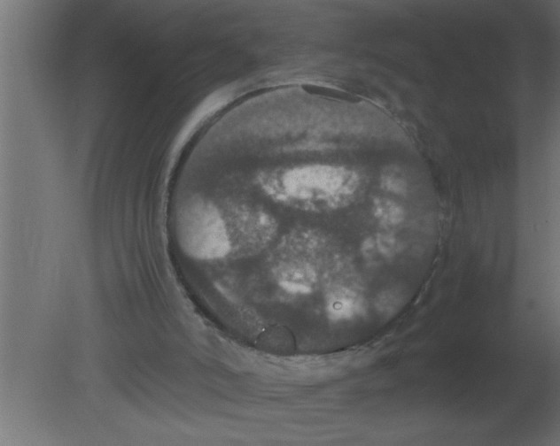 X0000080730006200701121922