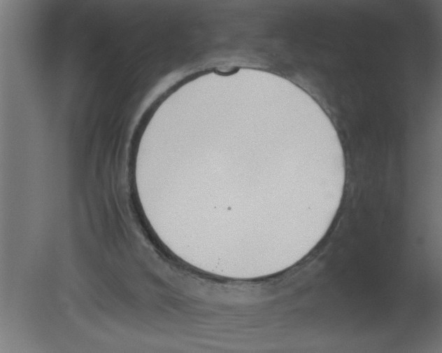 X0000080730008200701121922