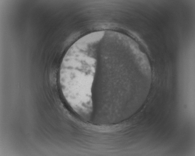 X0000080730010200701121922