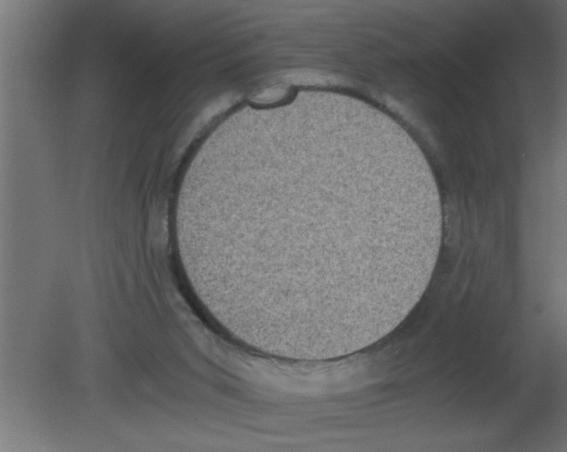 X0000080730015200701121922