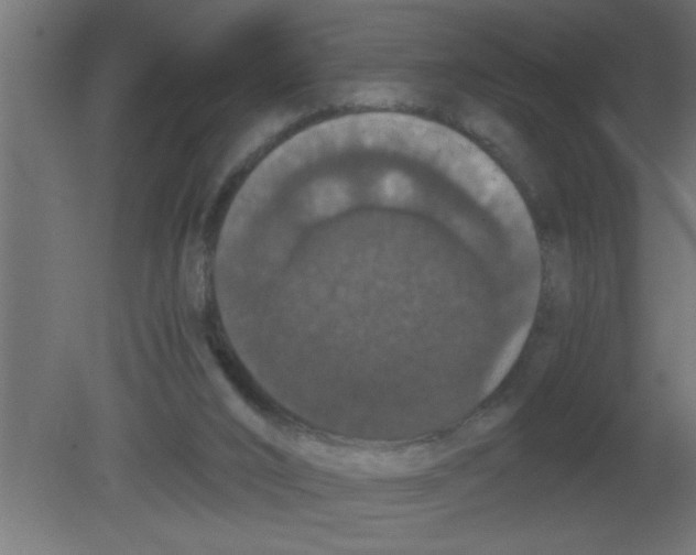 X0000080730016200701121922