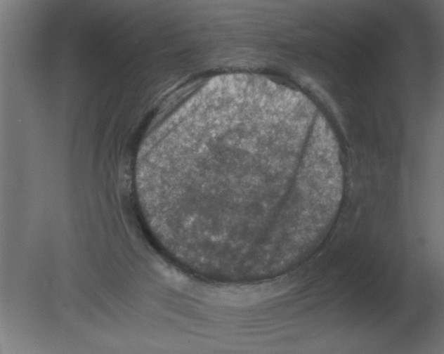 X0000080730017200701121922