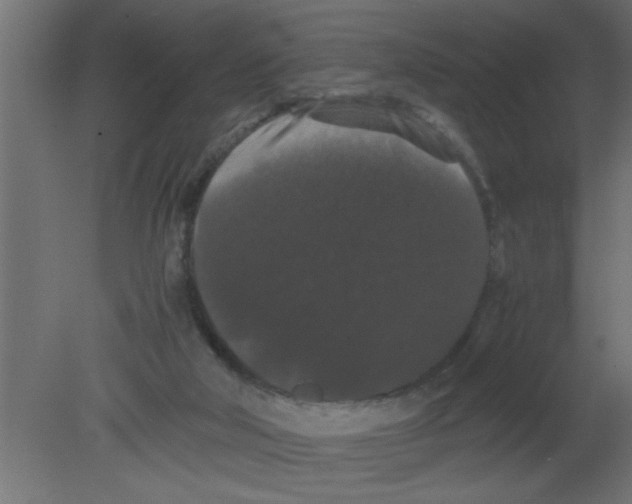 X0000080730018200701121922