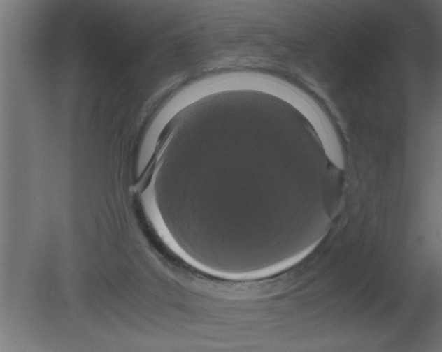 X0000080730019200701121922