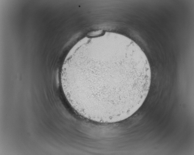 X0000080730020200701121922