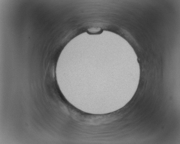 X0000080730021200701121922