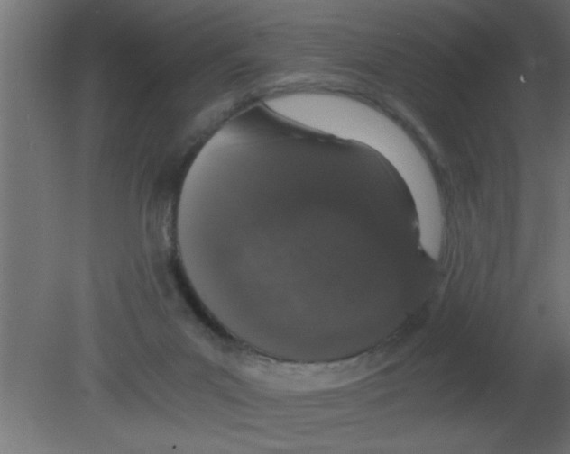 X0000080730023200701121922