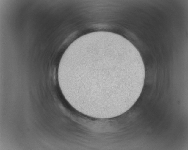 X0000080730024200701121922