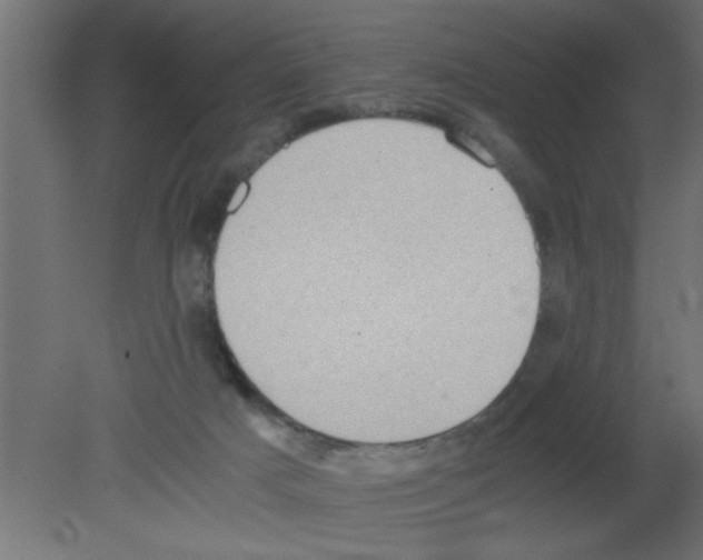 X0000080730025200701121922