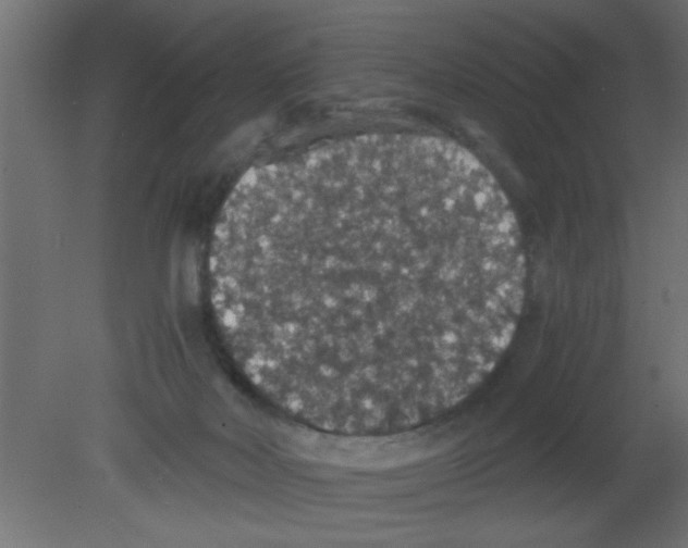 X0000080730026200701121922