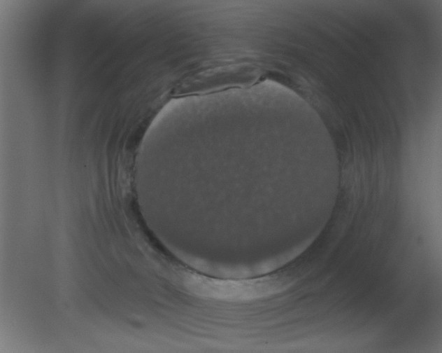 X0000080730030200701121922