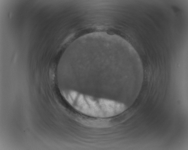 X0000080730032200701121922