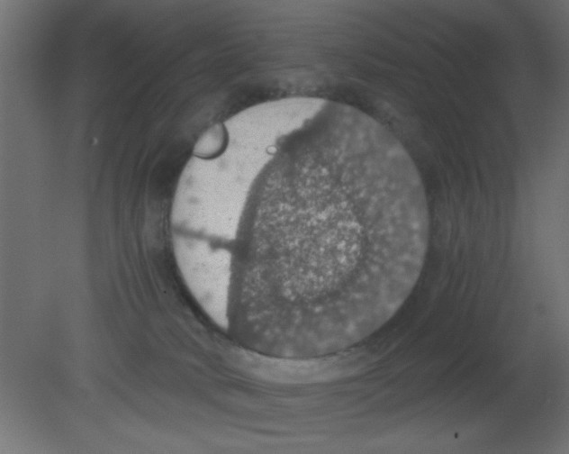 X0000080730034200701121922