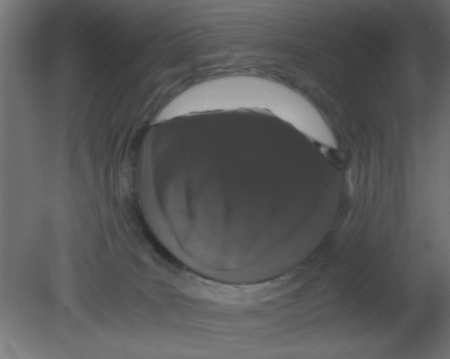 X0000080730035200701121922