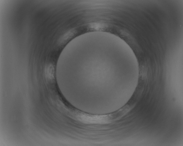 X0000080730036200701121922