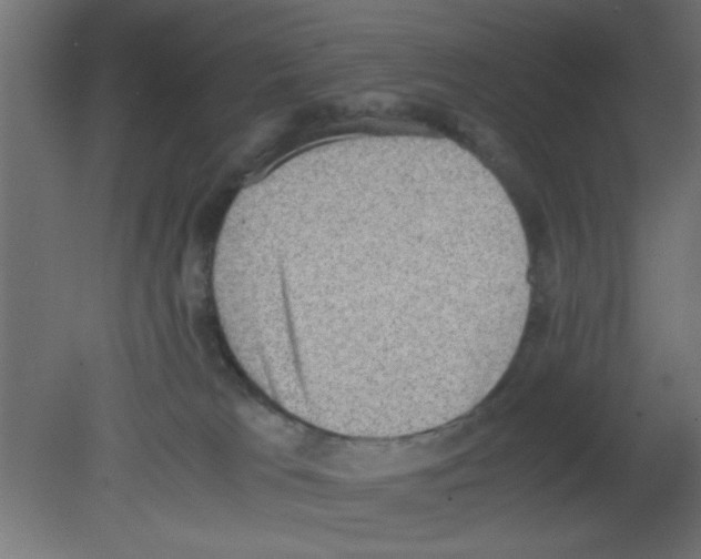 X0000080730037200701121922