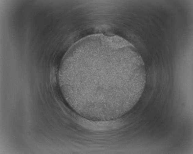 X0000080730038200701121922