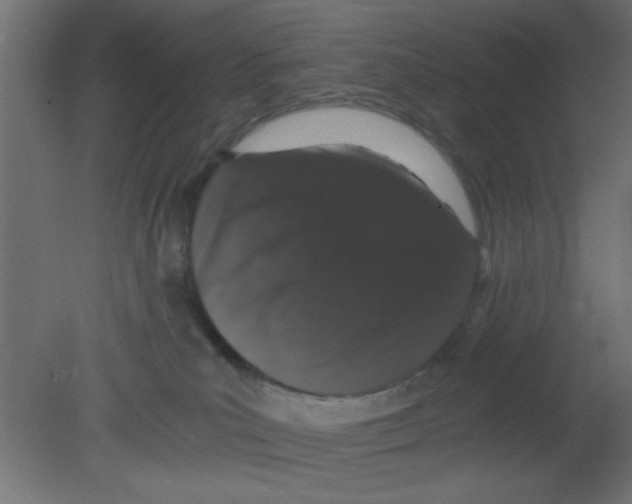 X0000080730039200701121922