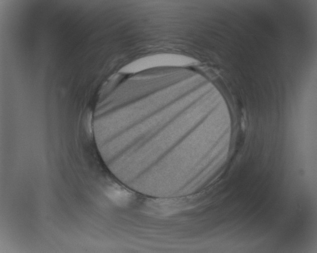 X0000080730041200701121922