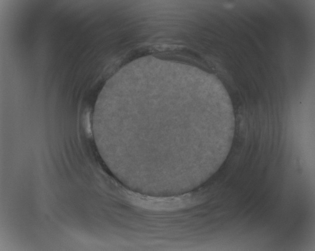 X0000080730042200701121922