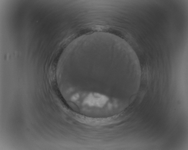 X0000080730043200701121922