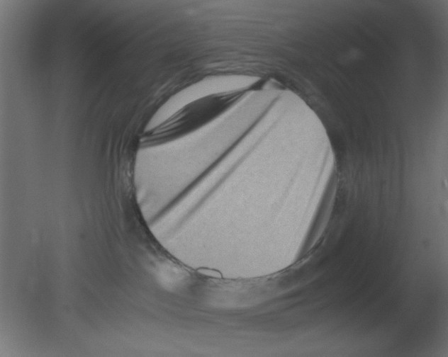 X0000080730045200701121922