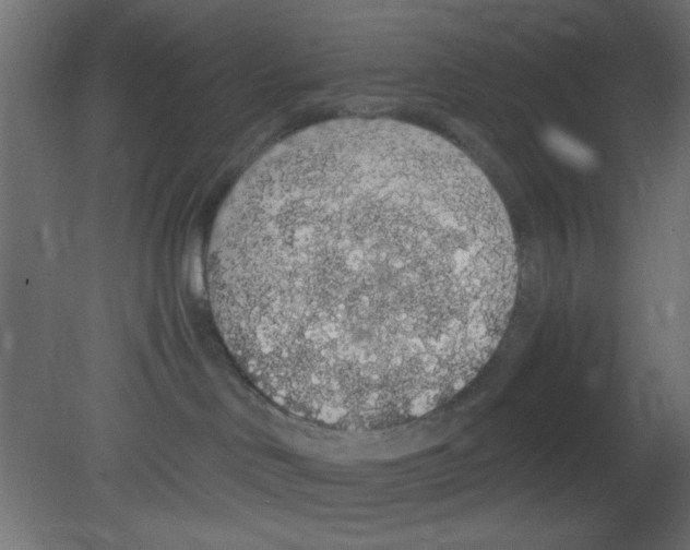 X0000080730046200701121922